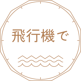 飛行機で