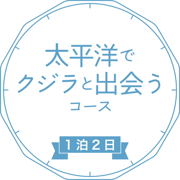 太平洋でクジラと出会うコース［1泊2日］